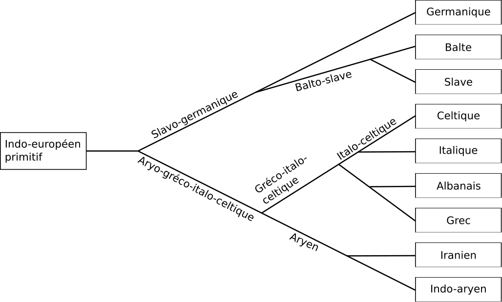 En s’inspirant des travaux de Darwin, August Schleicher a élaboré l’arbre généalogique des langues Indo-Européennes. Par Antonin Cabioc’h.