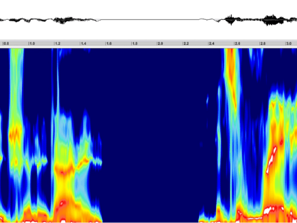 Un son qui donne le&nbsp;sourire