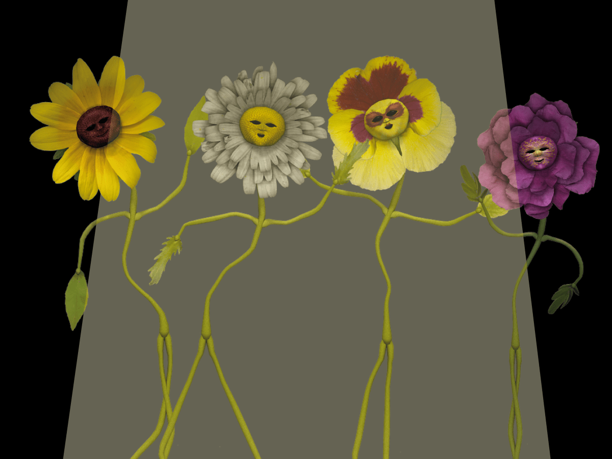 Les plantes et la musique : mythe ou r&eacute;alit&eacute;&nbsp;?