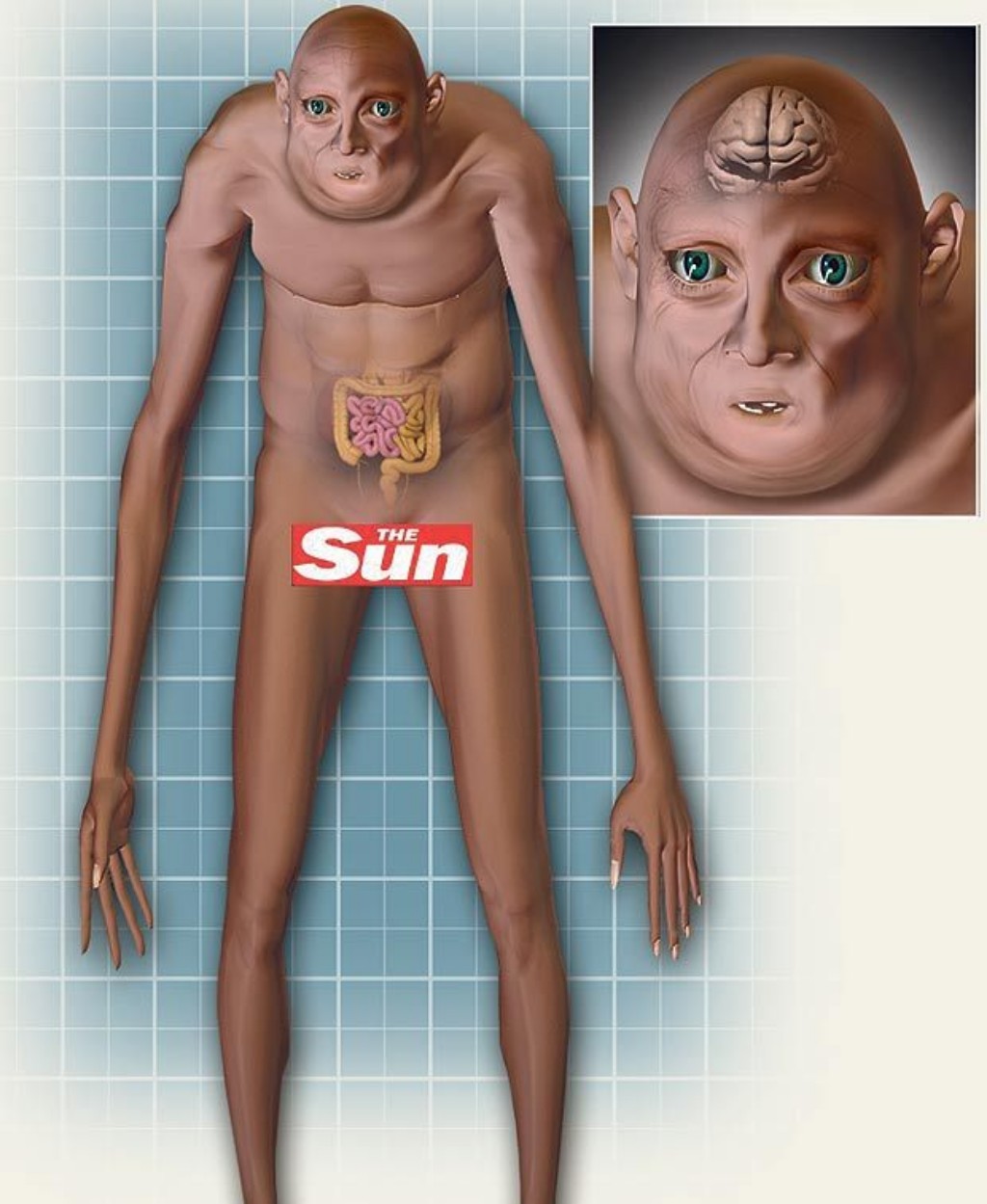 L'humain du futur, d'après The Sun.