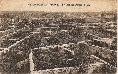 Montreuil-sous-Bois, Le Clos des Pêches. Par Claude Villetaneuse / https://commons.wikimedia.org/wiki/File:MONTREUIL_-_Le_clos_des_peches.jpg