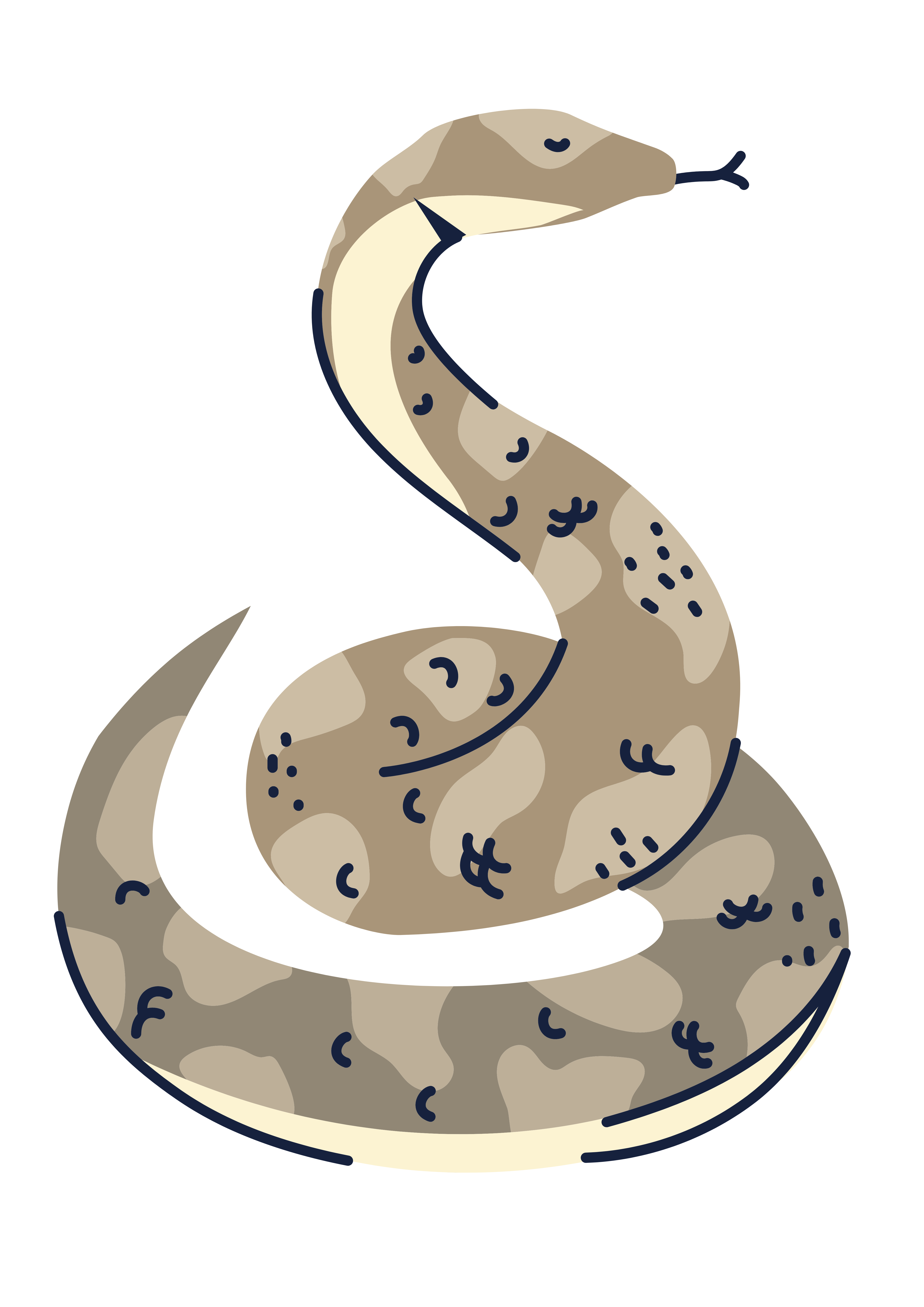 Un taïpan. Par iconsy, Canva