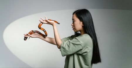 Femme qui tient un serpent. Par MART PRODUCTION / https://bit.ly/3ZQD6wW