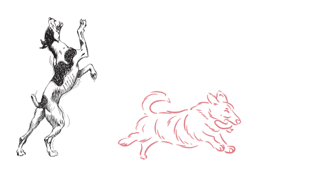 Chiens. Par Canva / Licence Free Média